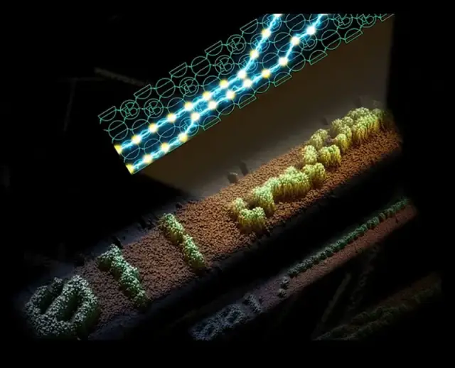 Scientists Use DNA to Create World's First Reprogrammable Molecular Computer