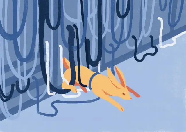 The stack overflow of death. Why we were down for 2 hours
