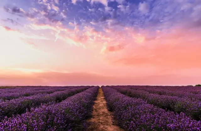 Where Kubernetes Ends, Cloud Foundry Begins