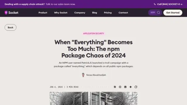 When "Everything" Becomes Too Much: The npm Package Chaos of 2024