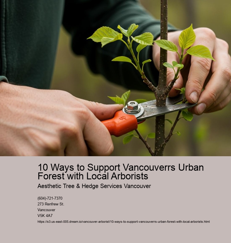 10 Ways to Support Vancouverrs Urban Forest with Local Arborists