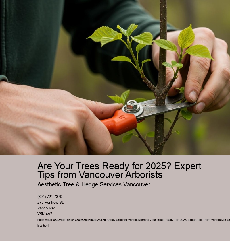 Are Your Trees Ready for 2025? Expert Tips from Vancouver Arborists