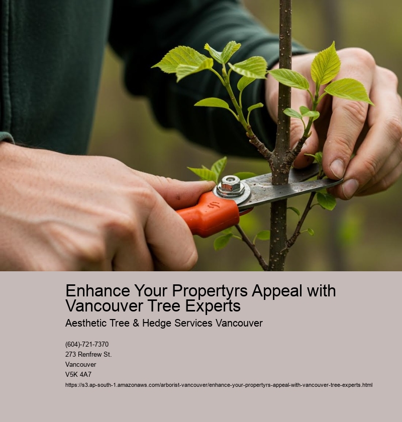 Enhance Your Propertyrs Appeal with Vancouver Tree Experts