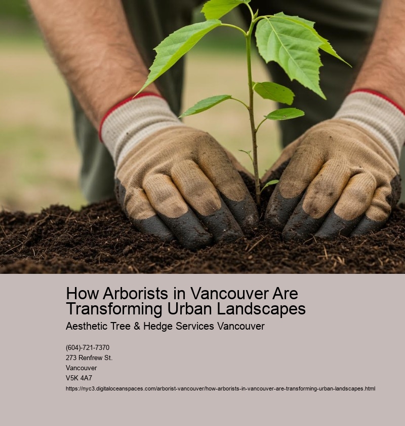 How Arborists in Vancouver Are Transforming Urban Landscapes