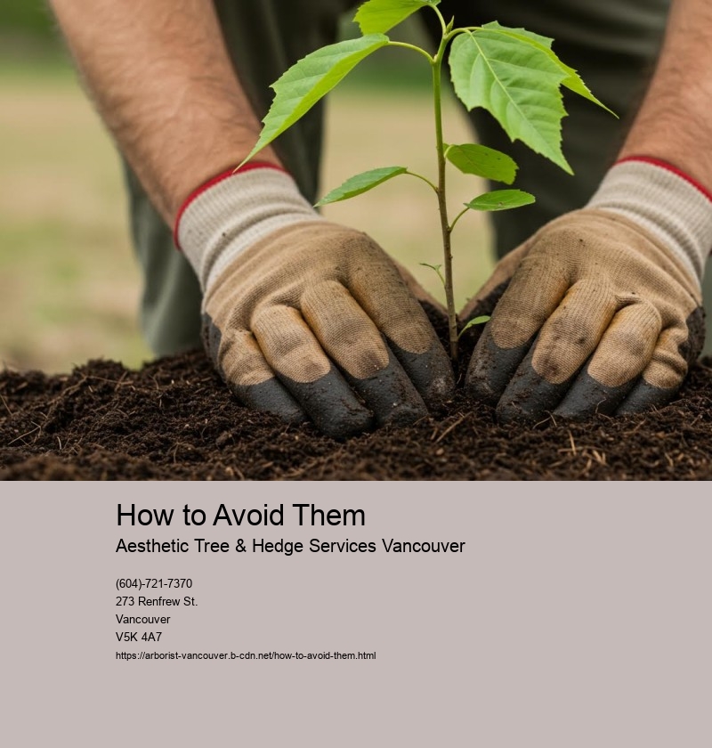 How to Avoid Them