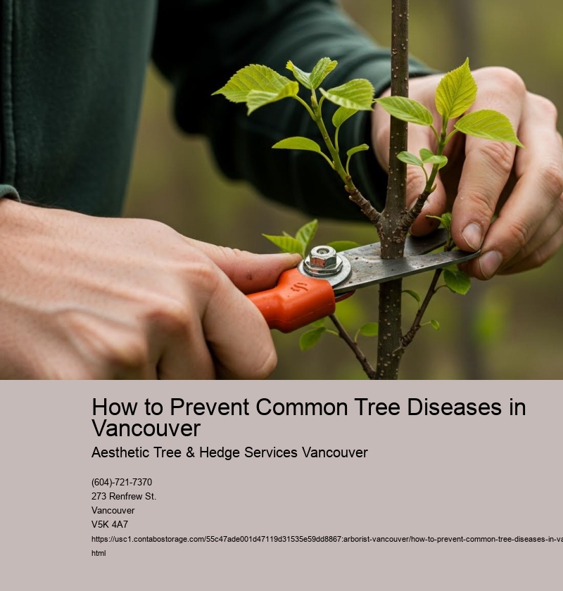 How to Prevent Common Tree Diseases in Vancouver