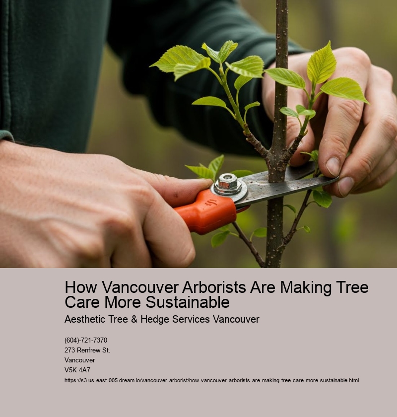 How Vancouver Arborists Are Making Tree Care More Sustainable