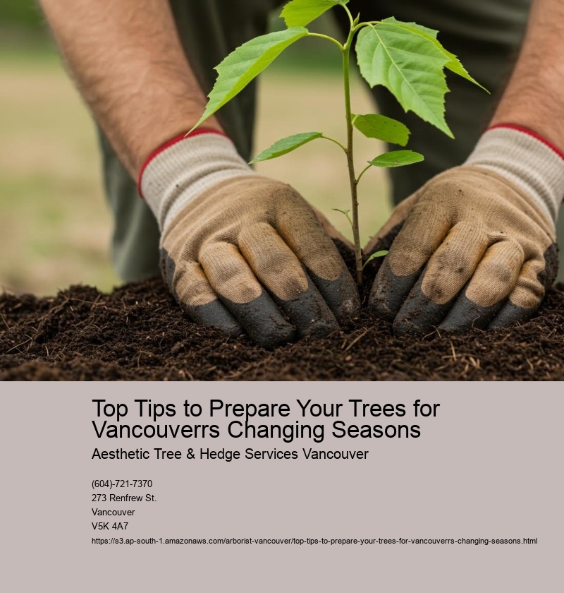 Top Tips to Prepare Your Trees for Vancouverrs Changing Seasons
