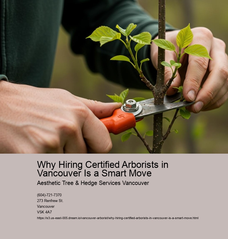 Why Hiring Certified Arborists in Vancouver Is a Smart Move