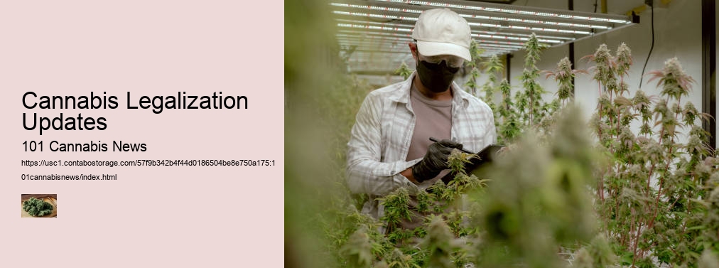 Cannabis Legalization Updates  