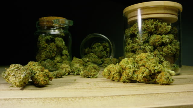What is the future outlook for cannabis businesses?