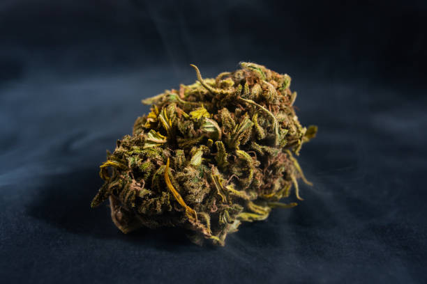 img/cannabiscultivationtips.jpg