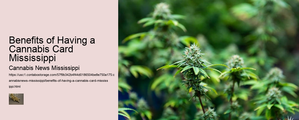 Benefits of Having a Cannabis Card Mississippi