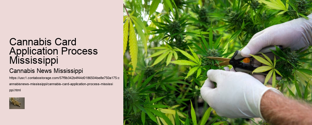 Cannabis Card Application Process Mississippi