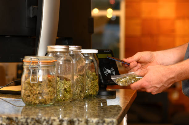 Steps to apply for a cannabis card in Mississippi