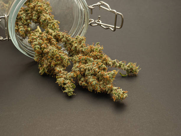 ../img/latestcannabisnews.jpg