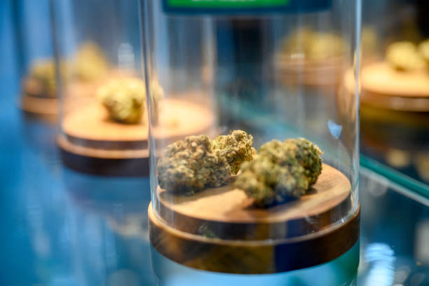 The process of obtaining a medical cannabis card in Mississippi
