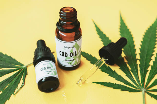 What is driving the success of top-performing cannabis stocks?