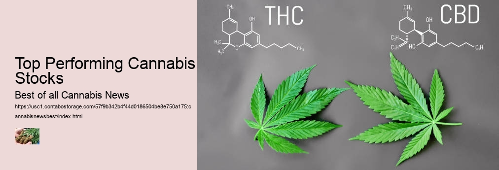 Top Performing Cannabis Stocks  