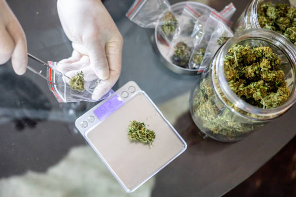 What is SEO optimization for a dispensary website?