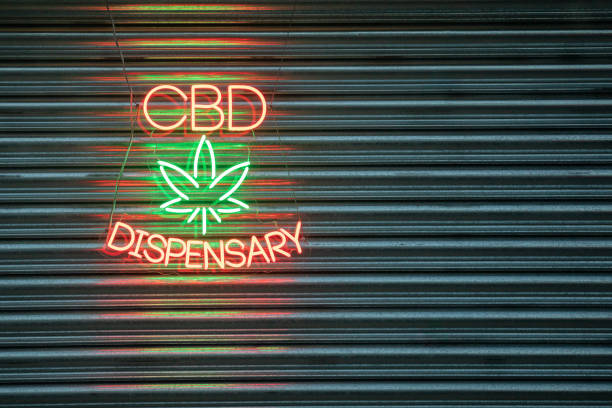 What are the key factors to consider in dispensary website SEO?