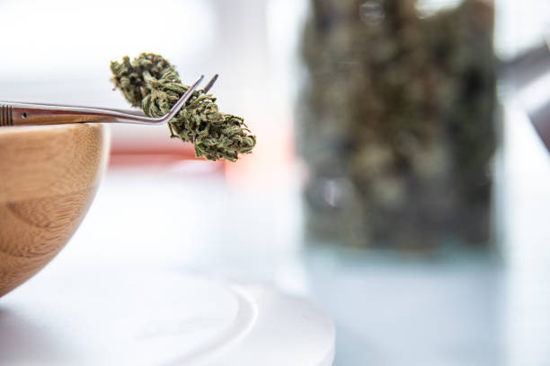 Unlock the Power of SEO for Your Dispensary Website: A Step-by-Step Guide
