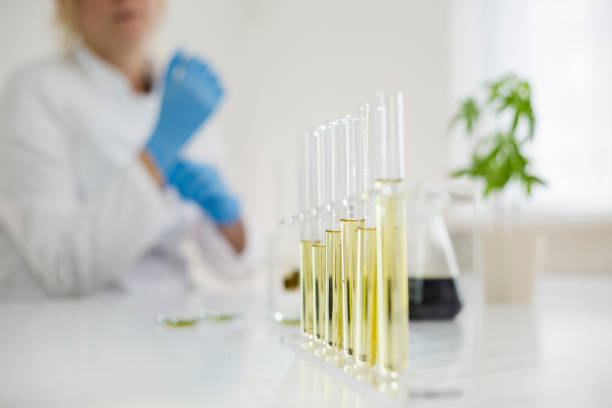 Keyword research and optimization strategies for dispensary websites