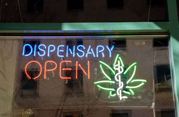What is the importance of SEO for dispensaries?