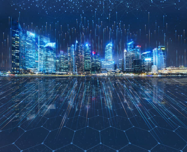 What is the role of IT contractors in managing network infrastructure?