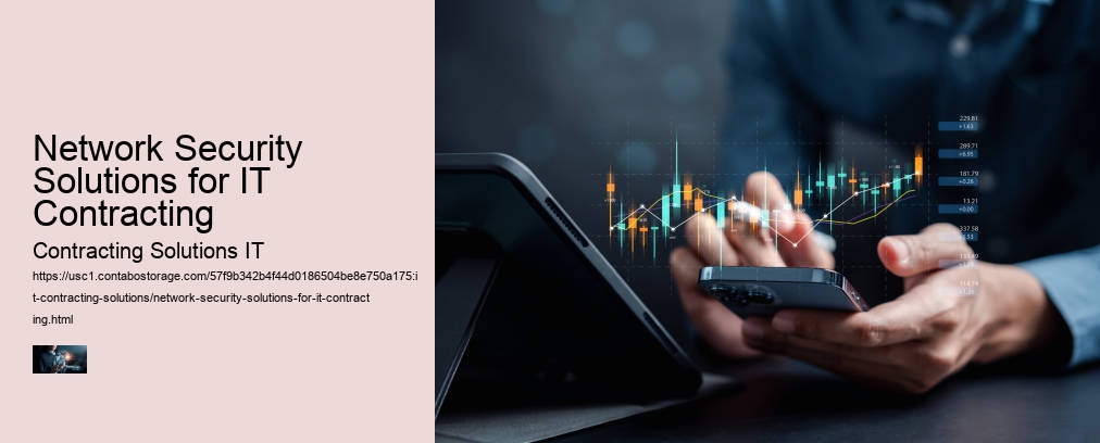 Network Security Solutions for IT Contracting