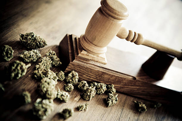 How to choose the best dispensary for purchasing marijuana flower in Lynn, MA