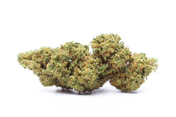 What are the key features to look for in a top-rated medical marijuana clinic?