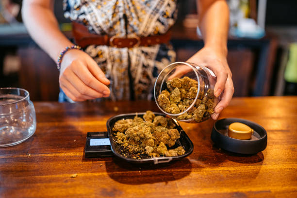 What is the outlook for cannabis stocks in the coming months?