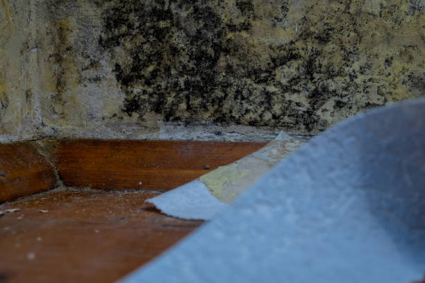 How to Transform Your Bethpage Property with Top-Rated Restoration Services