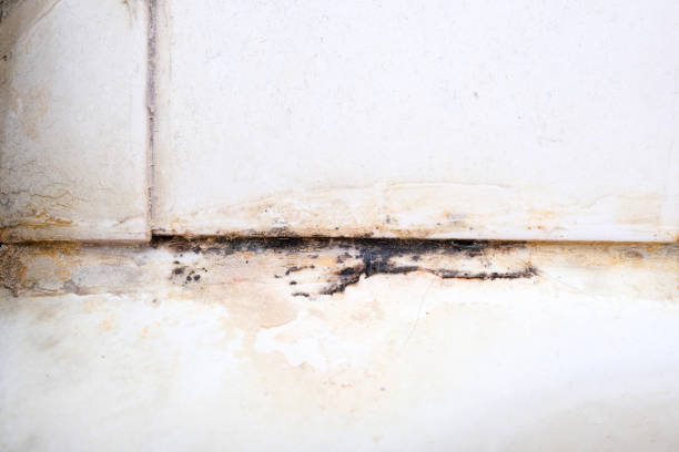 What is the top choice for property restoration in Bethpage NY based on customer satisfaction?