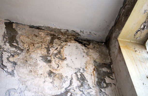 ../img/bethpagenyrestorationexperts.jpg