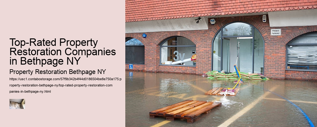 Top-Rated Property Restoration Companies in Bethpage NY