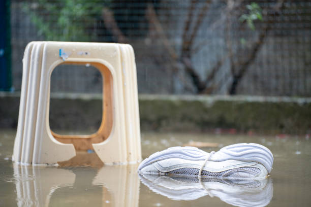 Response time and efficiency in handling property restoration emergencies