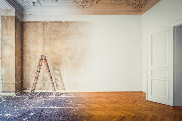 What is the top-ranked property restoration company in Jacksonville NC as recommended by clients?