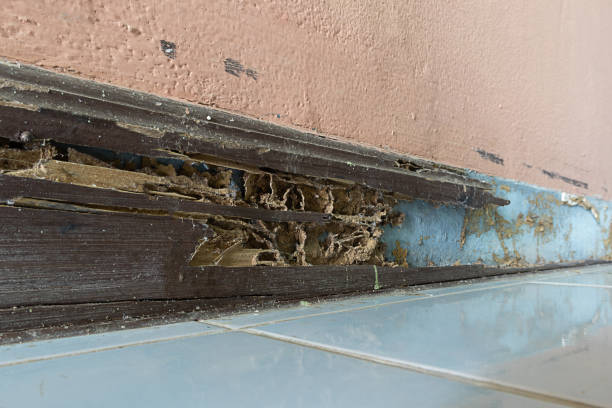 Quality of restoration services provided by the company