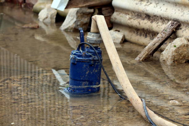 What is the most trusted property restoration company in Jacksonville NC based on online ratings?