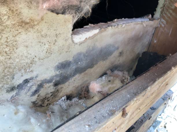 What are the common challenges faced during the property restoration process for insurance claims in Connecticut?