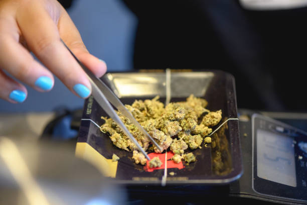 What are the top cannabis industry news websites for dispensaries?