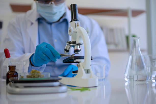 What is the latest news on legal changes affecting dispensaries?