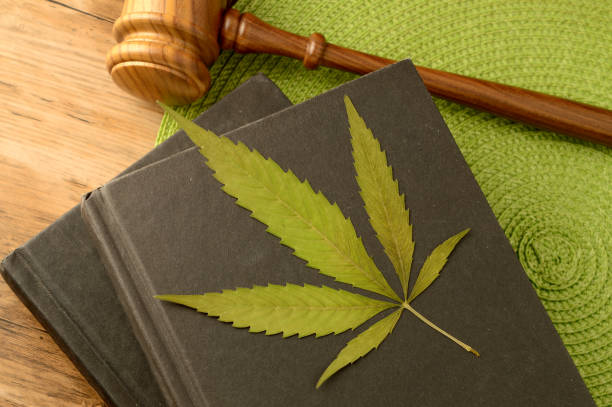 What is the breakdown of different product segments within the cannabis market?