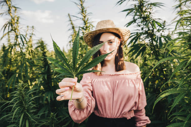 What is the impact of legalization on cannabis market statistics?