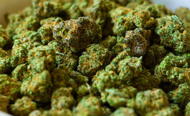 Emerging trends in the cannabis industry