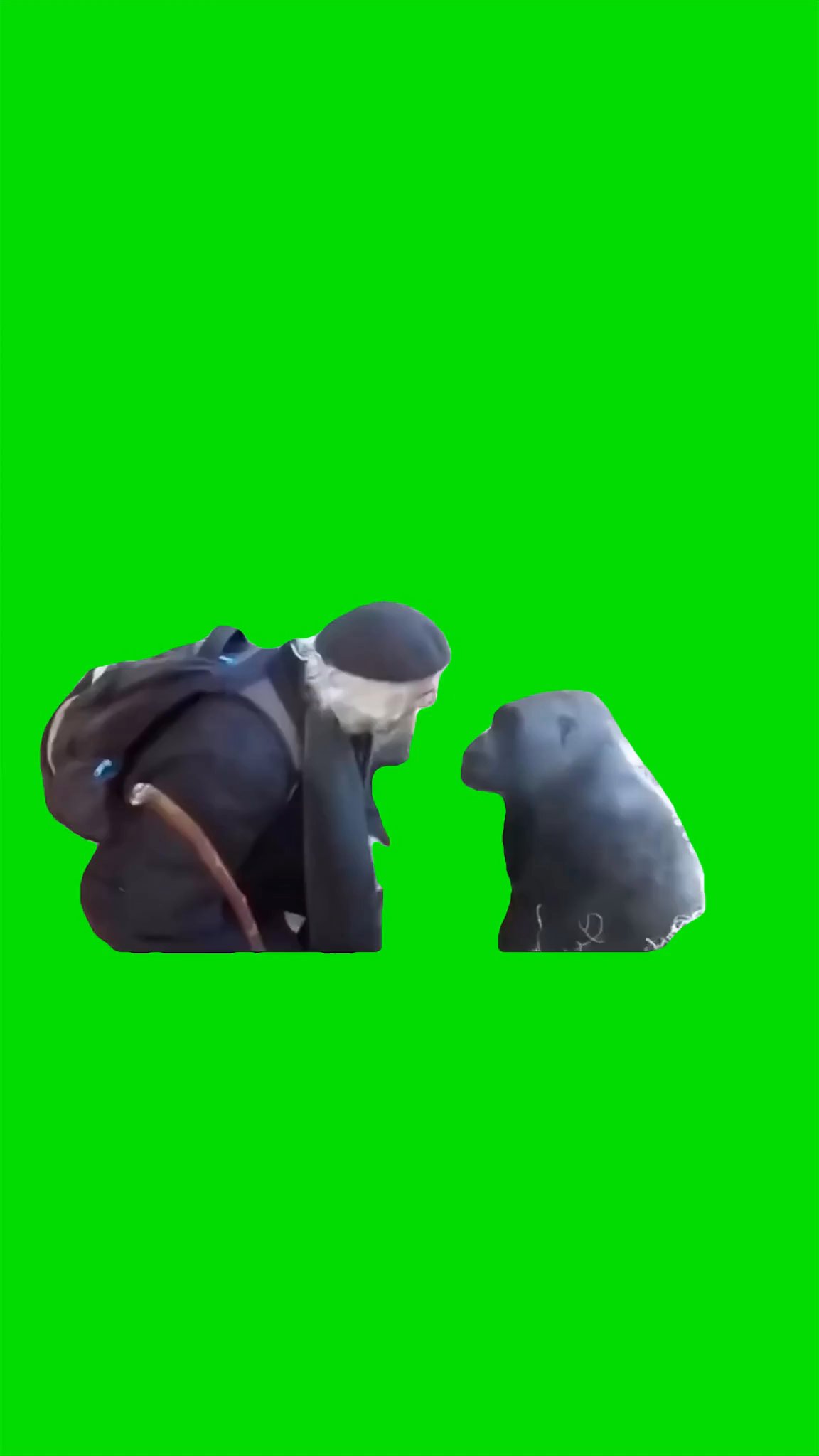 Arguing with a gorilla green screen 4k