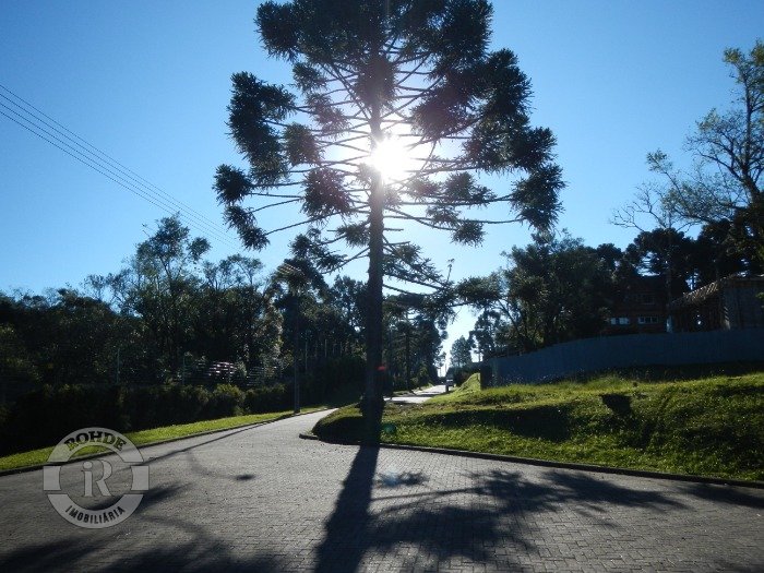 3 - Terreno Em Gramado em gramadoAspen Mountain