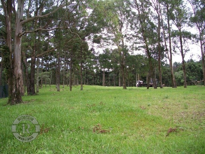 Foto 17 - Terreno Em Gramado em Gramado, bairro Aspen Mountain